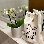 Apartman Apartmenthaus Eurenerstrasse 179 Trier