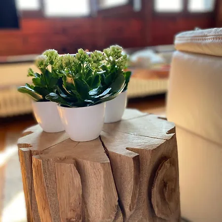 Apartmenthaus Eurenerstrasse 179 *