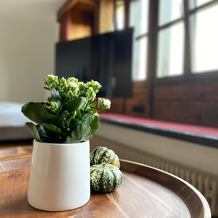 Apartmenthaus Eurenerstrasse 179 트리어