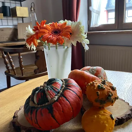 Apartmenthaus Eurenerstrasse 179