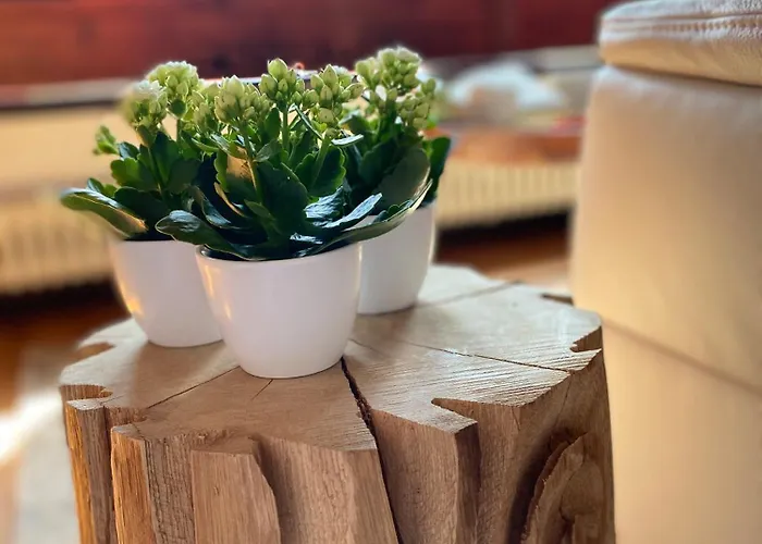 Apartmenthaus Eurenerstrasse 179 *